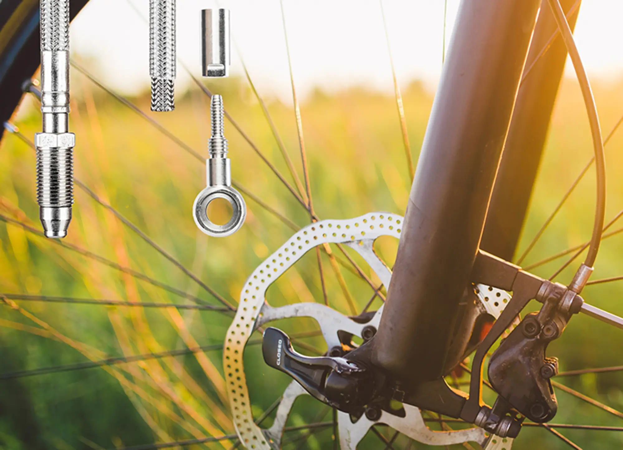 Detailaufnahme Fahrradspeichen mit Stahlflex Bremsleitung
